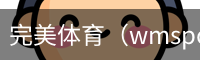 完美体育，WMsports，完美体育官方，完美体育平台，完美体育下载